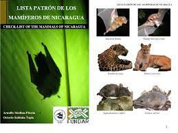 Lista patrón de los mamíferos de Nicaragua